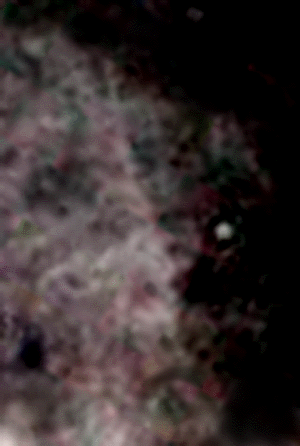 e0103408_16123466.gif