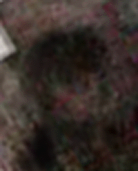 e0103408_16125864.gif