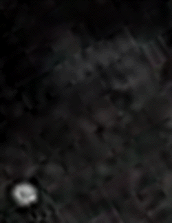 e0103408_16142159.gif