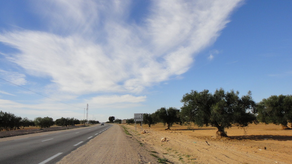 b0197609_33057.jpg