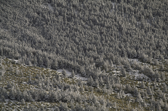 c0110112_016080.jpg