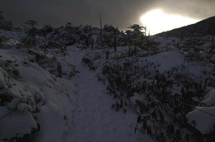 c0110112_01754.jpg