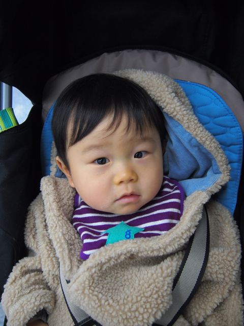 a0151615_19521779.jpg