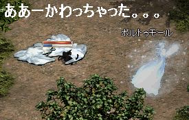 b0054918_1245575.jpg