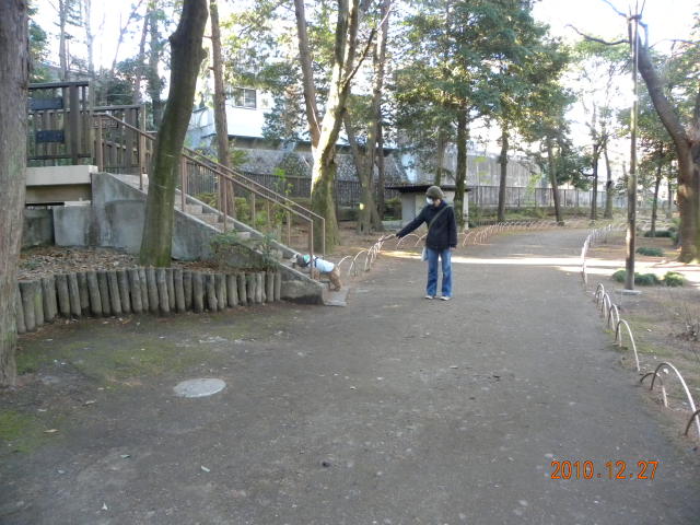 b0203018_16405061.jpg