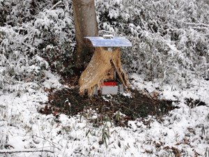 f0232920_1455331.gif