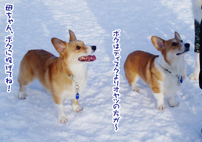 a0044521_14274236.jpg