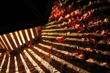a0021735_06820.jpg