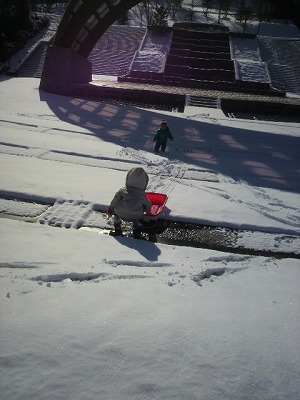 雪遊び!!_b0206037_16303739.jpg
