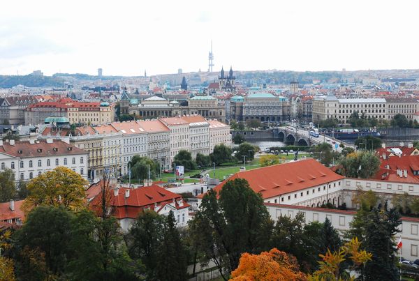 e0098241_2002064.jpg
