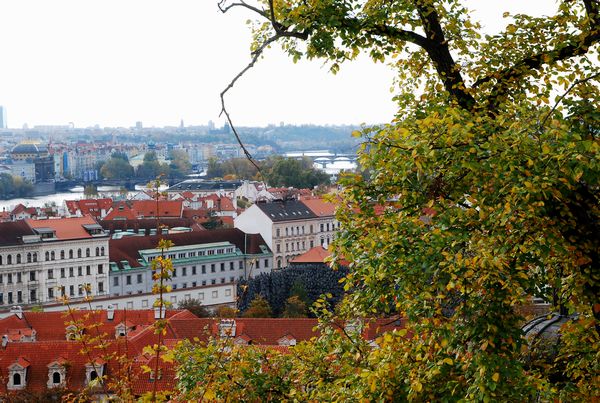 e0098241_202041.jpg