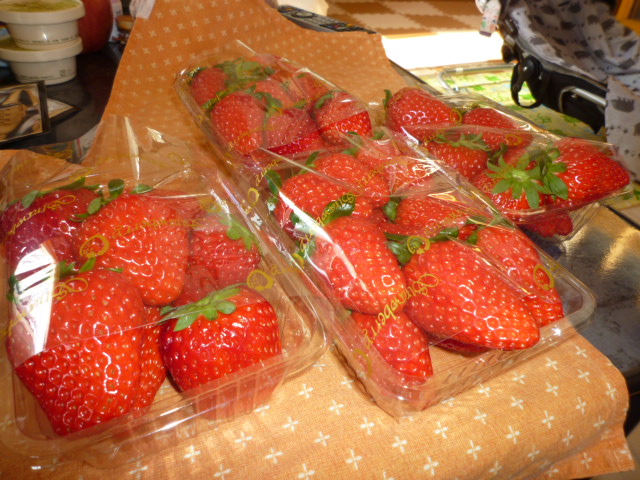 f0070542_811025.jpg