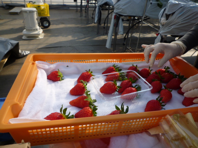 f0070542_885921.jpg