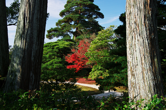 晩秋・修学院離宮2(中離宮編)_f0155048_2317683.jpg