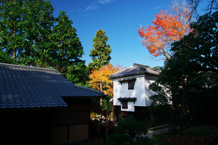 晩秋・修学院離宮2(中離宮編)_f0155048_2319236.jpg