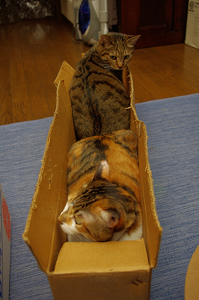 Xmasのお約束2010_a0028451_1249683.jpg