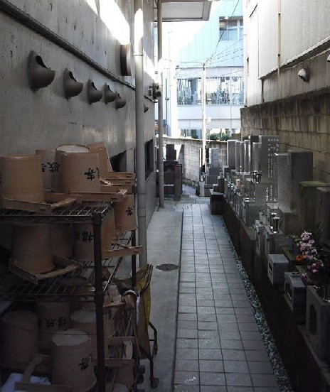 e0129656_229939.jpg