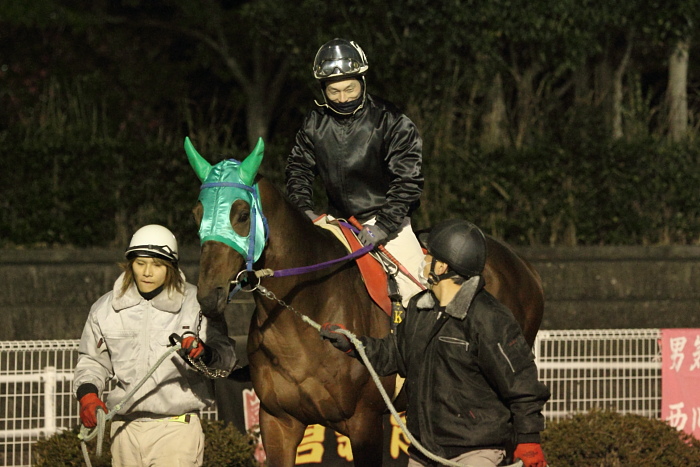 2010年12月25日（土） 高知競馬 10R 聖夜きよしこの夜特別 B-1 選抜馬_a0077663_1528553.jpg