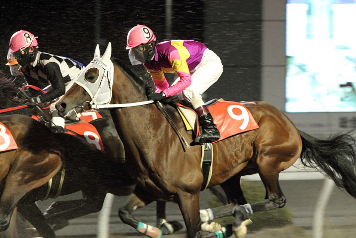 2010年12月25日（土） 高知競馬 10R 聖夜きよしこの夜特別 B-1 選抜馬_a0077663_15292253.jpg