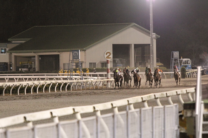 2010年12月25日（土） 高知競馬 10R 聖夜きよしこの夜特別 B-1 選抜馬_a0077663_15293012.jpg