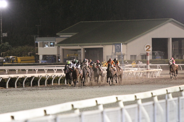 2010年12月25日（土） 高知競馬 10R 聖夜きよしこの夜特別 B-1 選抜馬_a0077663_1529411.jpg