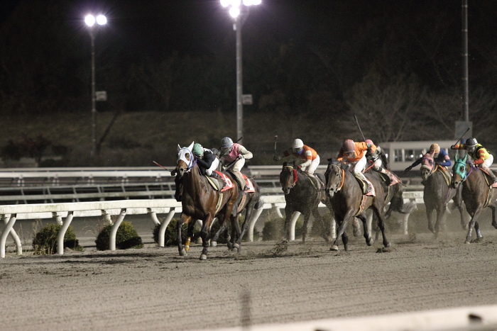 2010年12月25日（土） 高知競馬 10R 聖夜きよしこの夜特別 B-1 選抜馬_a0077663_15295074.jpg
