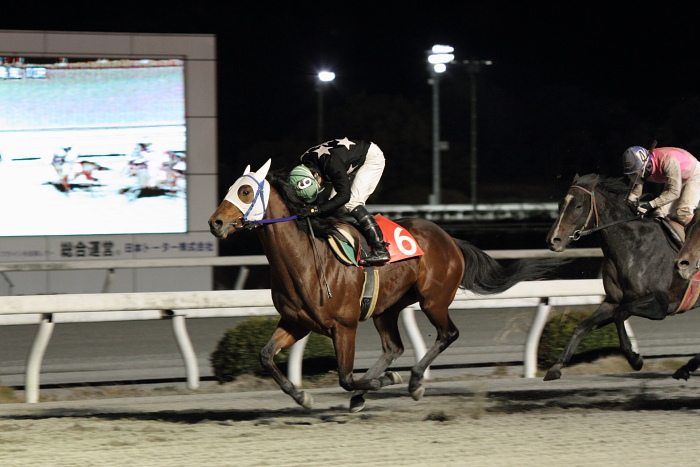 2010年12月25日（土） 高知競馬 10R 聖夜きよしこの夜特別 B-1 選抜馬_a0077663_15295940.jpg