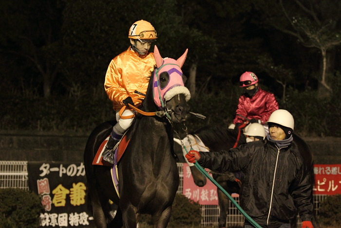 2010年12月25日（土） 高知競馬 10R 聖夜きよしこの夜特別 B-1 選抜馬_a0077663_1529628.jpg