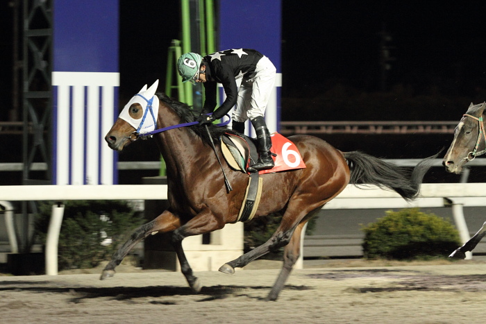 2010年12月25日（土） 高知競馬 10R 聖夜きよしこの夜特別 B-1 選抜馬_a0077663_1530794.jpg