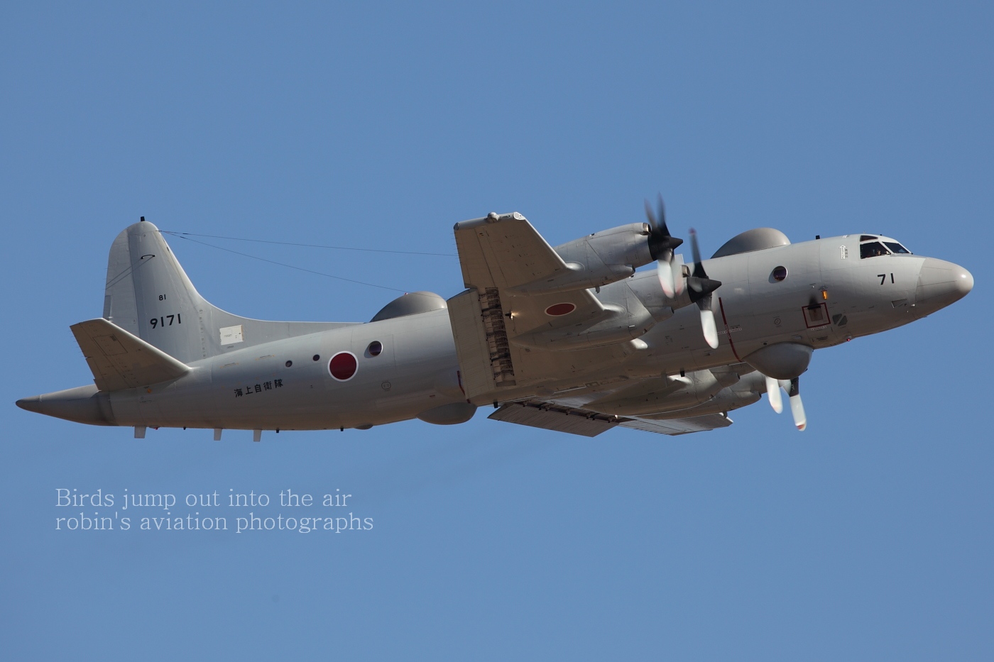 NAF-Atsugi December 27,2010_a0161664_17531443.jpg