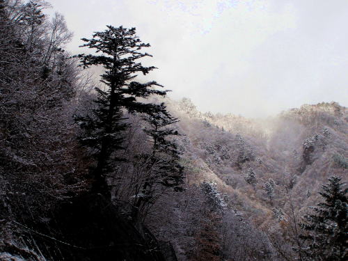 f0215964_8541231.jpg