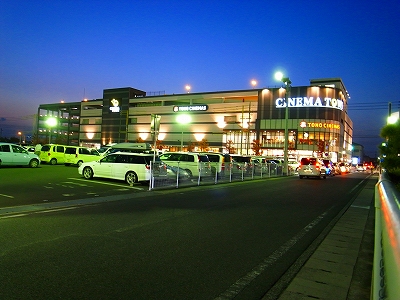 d0128465_83418.jpg