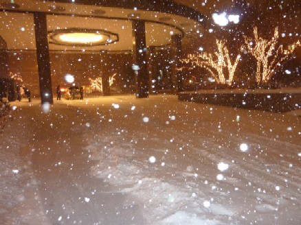 2010-12-26 今日は大雪_e0021965_11415113.jpg