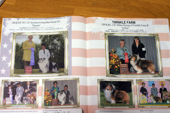 TOKYO DOGS 創刊号掲載_a0139367_20531557.jpg