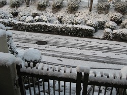 e0041168_8314498.jpg