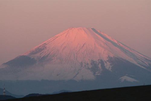 a0157069_83210.jpg