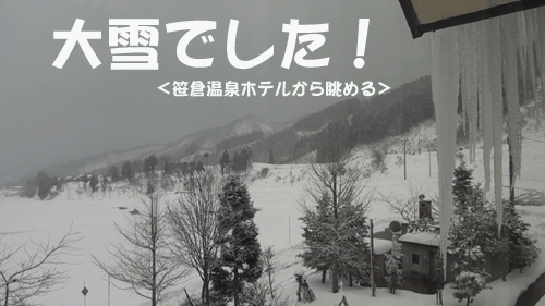 新潟_c0000970_2201064.gif