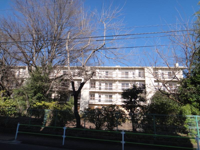 f0059673_21402892.jpg