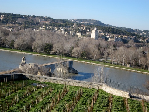 ミストラル、あるいはサン・ベネゼ橋　Le Mistral ou le Pont Saint-Bénézet_a0104474_13273967.jpg