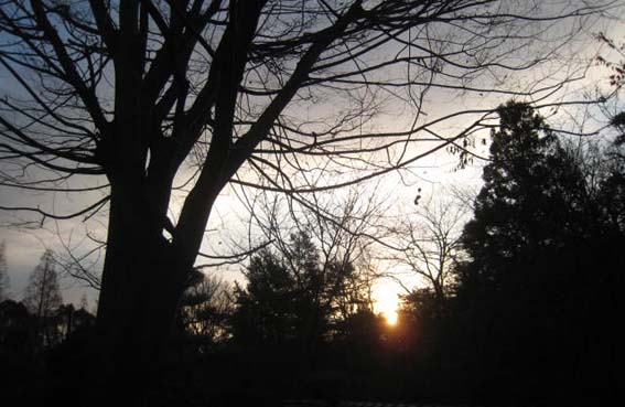 c0194992_9562135.jpg