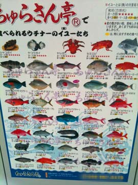 魚のポスター_c0108695_23542234.jpg