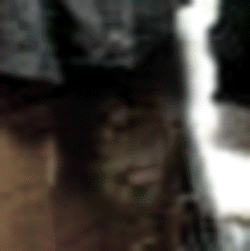 e0103408_1120968.gif