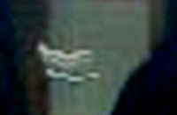 e0103408_11381363.gif
