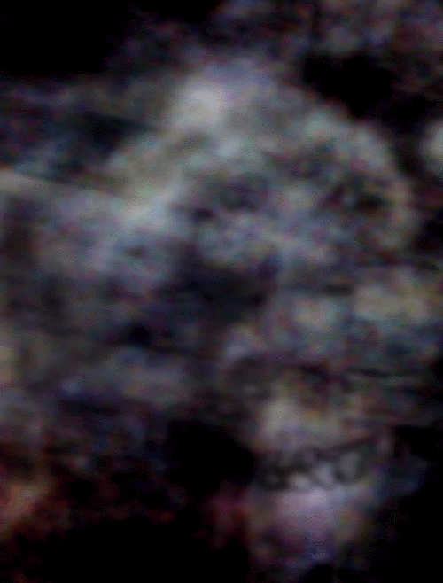 e0103408_1614176.gif