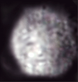 e0103408_1626199.gif