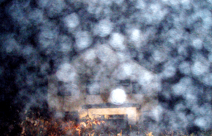 e0103408_16262836.gif