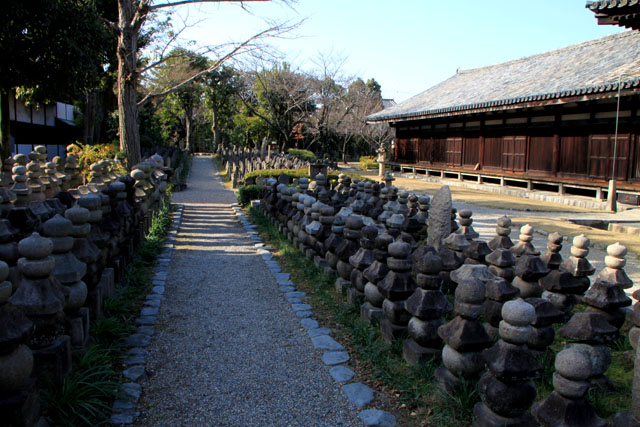 奈良を歩く2 元興寺極楽坊_e0048413_1894998.jpg