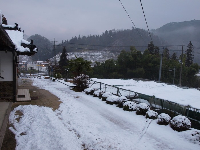 雪の名残_c0116915_14351163.jpg