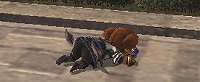 そして一年の終わり_d0039216_2246676.jpg