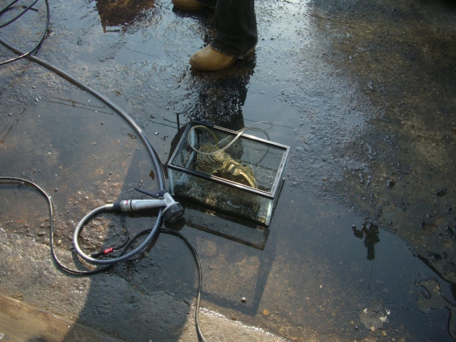 大掃除順調に進んでます_a0164918_1423595.jpg